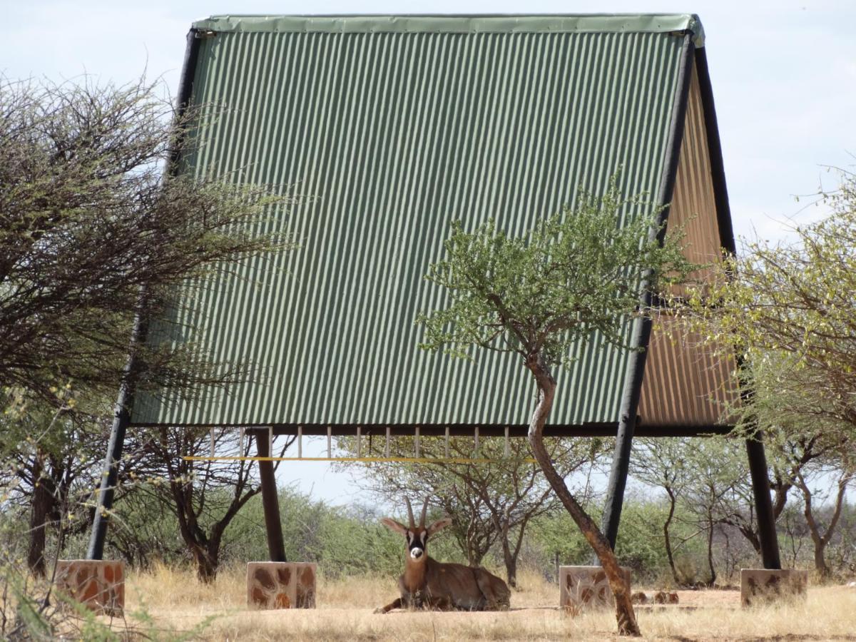 Okazize Ovita Wildlife Restcamp מראה חיצוני תמונה